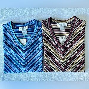 NWT Express V-Neck Multicolor‎ Tops M (Lot of 2)